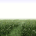 Fog/pixelart