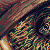 The guest icon/pixelart