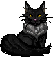 black maine coon  icon/pixelart