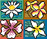 Flower Quad