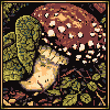 Amanita icon/pixelart