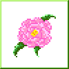 Peony icon/pixelart