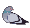 Pigeon Badge icon/pixelart