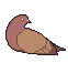 Brown Pigeon Badge icon/pixelart