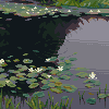 Study of "Pond Lilies" by Willard Metcalf/pixelart