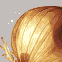 Onion Study icon/pixelart