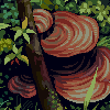 Polypores icon/pixelart