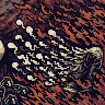 pyonpyonsi icon/pixelart